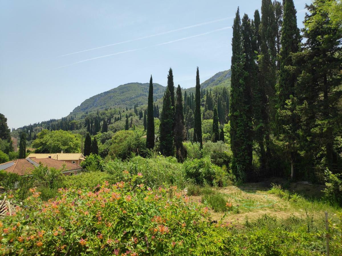 Aloni Corfu Benitses