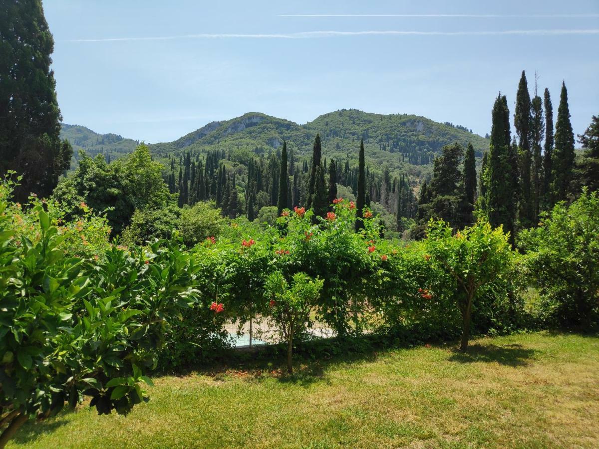 Aloni Corfu Benitses *